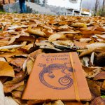 Kirayə (günlük) 1 otaqlı Bağ evi Zaqatala 3