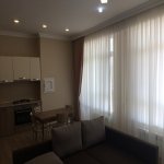 Kirayə (aylıq) 2 otaqlı Yeni Tikili, Xətai rayonu 3
