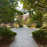 Satılır 3 otaqlı Köhnə Tikili, Azadlıq metrosu, Binəqədi rayonu 15