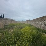 Satılır Torpaq, Xəzər rayonu 1
