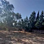 Продажа Участок, пос. Нардаран, Сабунчу район 5