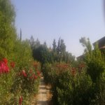 Satılır 4 otaqlı Bağ evi, Bilgəh qəs., Sabunçu rayonu 7