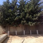 Satılır 6 otaqlı Bağ evi, Goradil, Abşeron rayonu 68