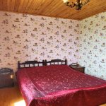 Satılır 7 otaqlı Həyət evi/villa İsmayıllı 11