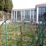 Satılır 15 otaqlı Həyət evi/villa, Novxanı, Abşeron rayonu 32