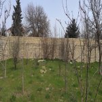 Satılır 3 otaqlı Bağ evi, Goradil, Abşeron rayonu 2