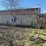 Satılır Torpaq Qəbələ 2