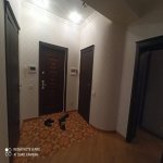 Kirayə (aylıq) 2 otaqlı Yeni Tikili, Xətai metrosu, Xətai rayonu 24