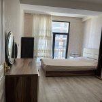 Аренда 2 комнатная Новостройка, м. Нариман Нариманов метро, Центр Гейдара Алиева, Наримановский р-н район 12