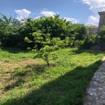 Kirayə (günlük) 4 otaqlı Bağ evi Qusar 33