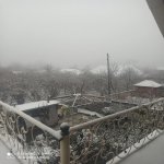 Kirayə (günlük) 4 otaqlı Yeni Tikili Qax 13