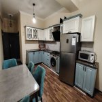 Аренда 1 комнатная Новостройка, м. Гянджлик метро, Медицинский Университет, Насими район 10