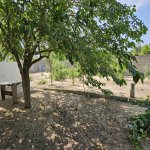 Kirayə (aylıq) 5 otaqlı Bağ evi, Mərdəkan, Xəzər rayonu 4