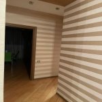 Satılır 2 otaqlı Yeni Tikili, Nəriman Nərimanov metrosu, Nərimanov rayonu 10