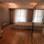 Kirayə (aylıq) 2 otaqlı Yeni Tikili, 28 May metrosu, Nəsimi rayonu 12