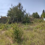 Satılır Torpaq, Novxanı bağ massivi rayonu 11