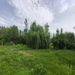 Satılır Torpaq Qəbələ 3