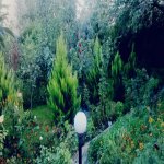 Kirayə (aylıq) 5 otaqlı Bağ evi, Novxanı, Abşeron rayonu 7