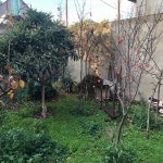 Satılır 7 otaqlı Həyət evi/villa, Avtovağzal metrosu, Binəqədi qəs., Binəqədi rayonu 28