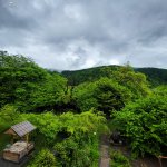 Kirayə (günlük) 3 otaqlı Həyət evi/villa Zaqatala 7