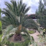 Satılır 4 otaqlı Bağ evi, Fatmayi, Abşeron rayonu 14