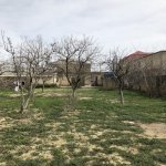 Satılır Torpaq, Saray, Abşeron rayonu 15