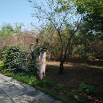 Kirayə (günlük) 3 otaqlı Bağ evi Lənkəran 22