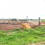 Satılır Obyekt Xaçmaz 14