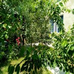 Kirayə (günlük) 4 otaqlı Həyət evi/villa Qusar 26