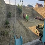 Продажа 2 комнат Дома/Виллы, м. Короглу метро, пос. Забрат, Сабунчу район 3