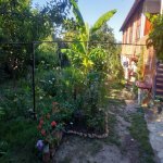Kirayə (günlük) 3 otaqlı Həyət evi/villa İsmayıllı 6