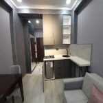Kirayə (aylıq) 1 otaqlı Yeni Tikili, 20 Yanvar metrosu, 4-cü mikrorayon, Nəsimi rayonu 3
