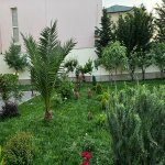 Kirayə (aylıq) 6 otaqlı Həyət evi/villa, Novxanı, Abşeron rayonu 7