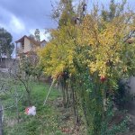 Satılır 4 otaqlı Bağ evi, Fatmayi, Abşeron rayonu 15
