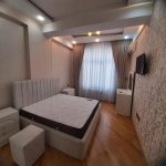 Kirayə (aylıq) 2 otaqlı Yeni Tikili, Nəriman Nərimanov metrosu, Nərimanov rayonu 11