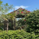 Kirayə (aylıq) 2 otaqlı Bağ evi, Nardaran qəs., Sabunçu rayonu 9