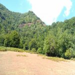 Satılır Torpaq İsmayıllı 13