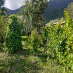 Kirayə (günlük) 3 otaqlı Həyət evi/villa Qax 5