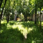 Kirayə (günlük) 3 otaqlı Həyət evi/villa İsmayıllı 23