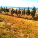 Продажа Участок, Новханы, Абшерон район 16