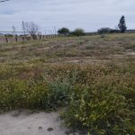 Продажа Участок, пос. Йени Сураханы, Сураханы район 4