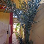 Satılır 4 otaqlı Həyət evi/villa, Masazır, Abşeron rayonu 16