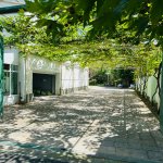 Kirayə (günlük) 5 otaqlı Həyət evi/villa Qax 4