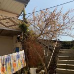 Satılır 5 otaqlı Həyət evi/villa, Əhmədli metrosu, kənd Əhmədli, Xətai rayonu 5