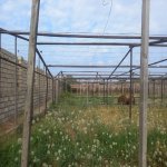 Satılır Torpaq, Maştağa qəs., Sabunçu rayonu 11