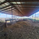 Kirayə (aylıq) Torpaq Xaçmaz 7