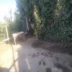 Kirayə (aylıq) 2 otaqlı Həyət evi/villa, Azadlıq metrosu, Binəqədi rayonu 7