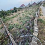 Satılır Torpaq, Saray, Abşeron rayonu 1