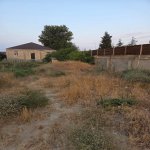 Satılır Torpaq, Novxanı, Abşeron rayonu 6