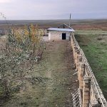 Satılır 5 otaqlı Bağ evi Şamaxı 22